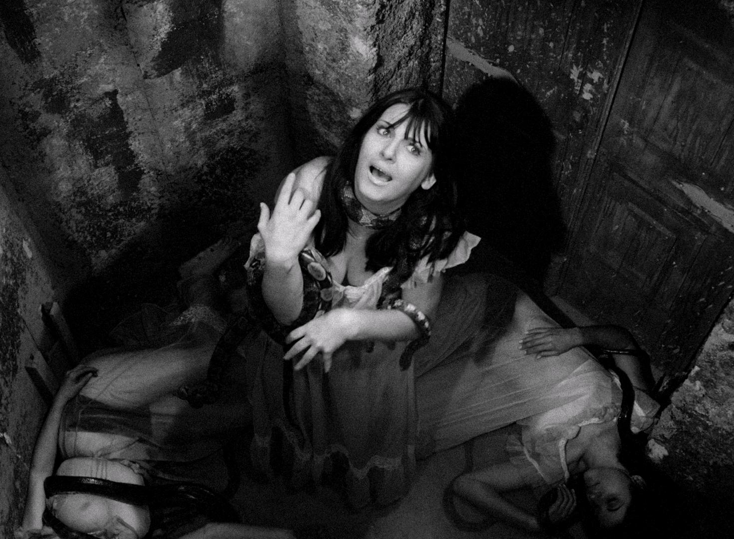 5 filmes que mostram por que o terror brasileiro merece ser levado a sério